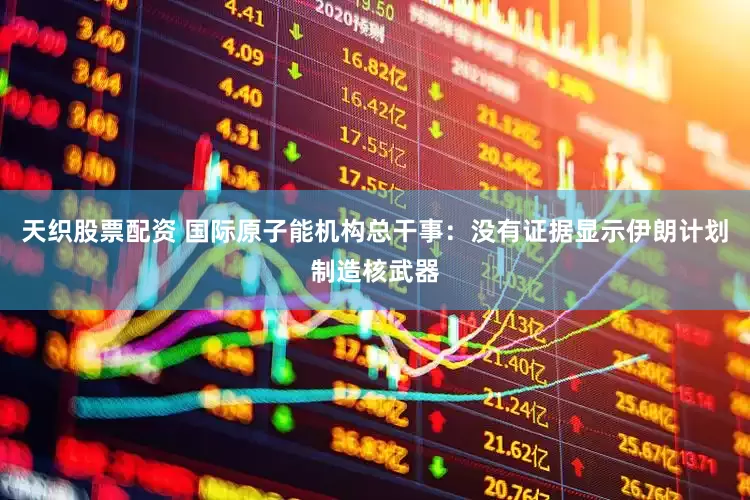 天织股票配资 国际原子能机构总干事：没有证据显示伊朗计划制造核武器