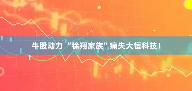牛股动力 “徐翔家族”痛失大恒科技！