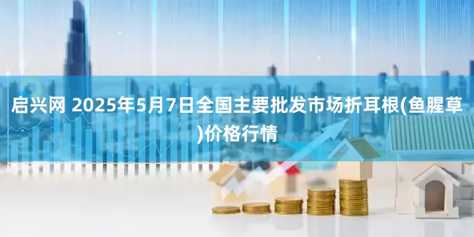 启兴网 2025年5月7日全国主要批发市场折耳根(鱼腥草)价格行情